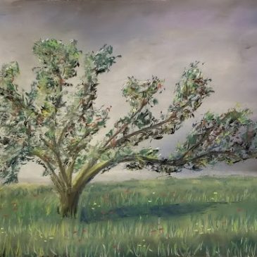 Dream Tree