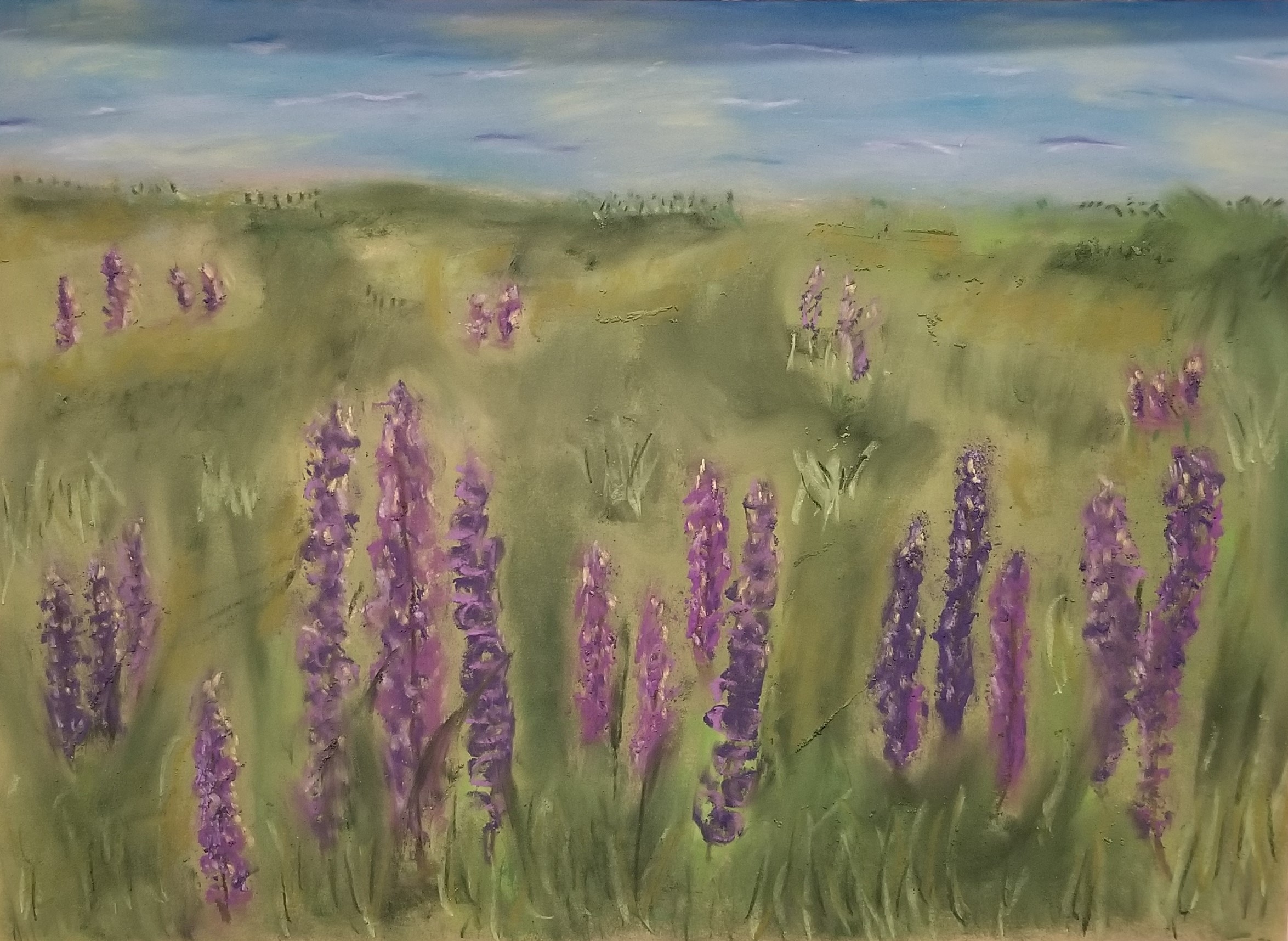 Lupines II