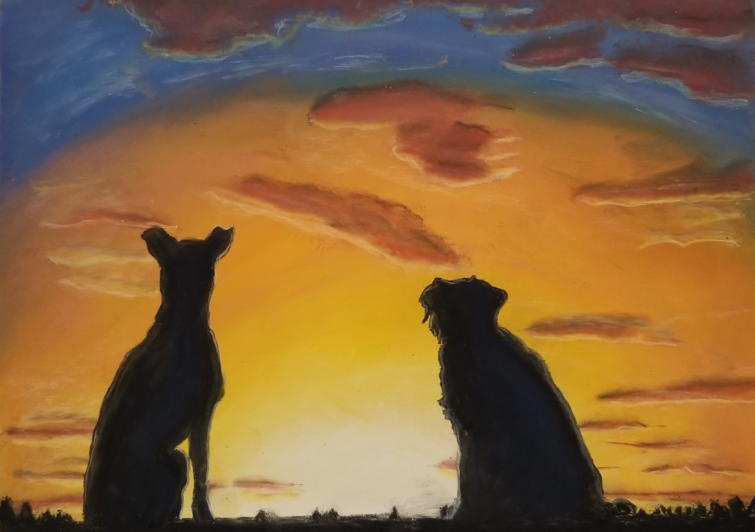 Canine Sunset