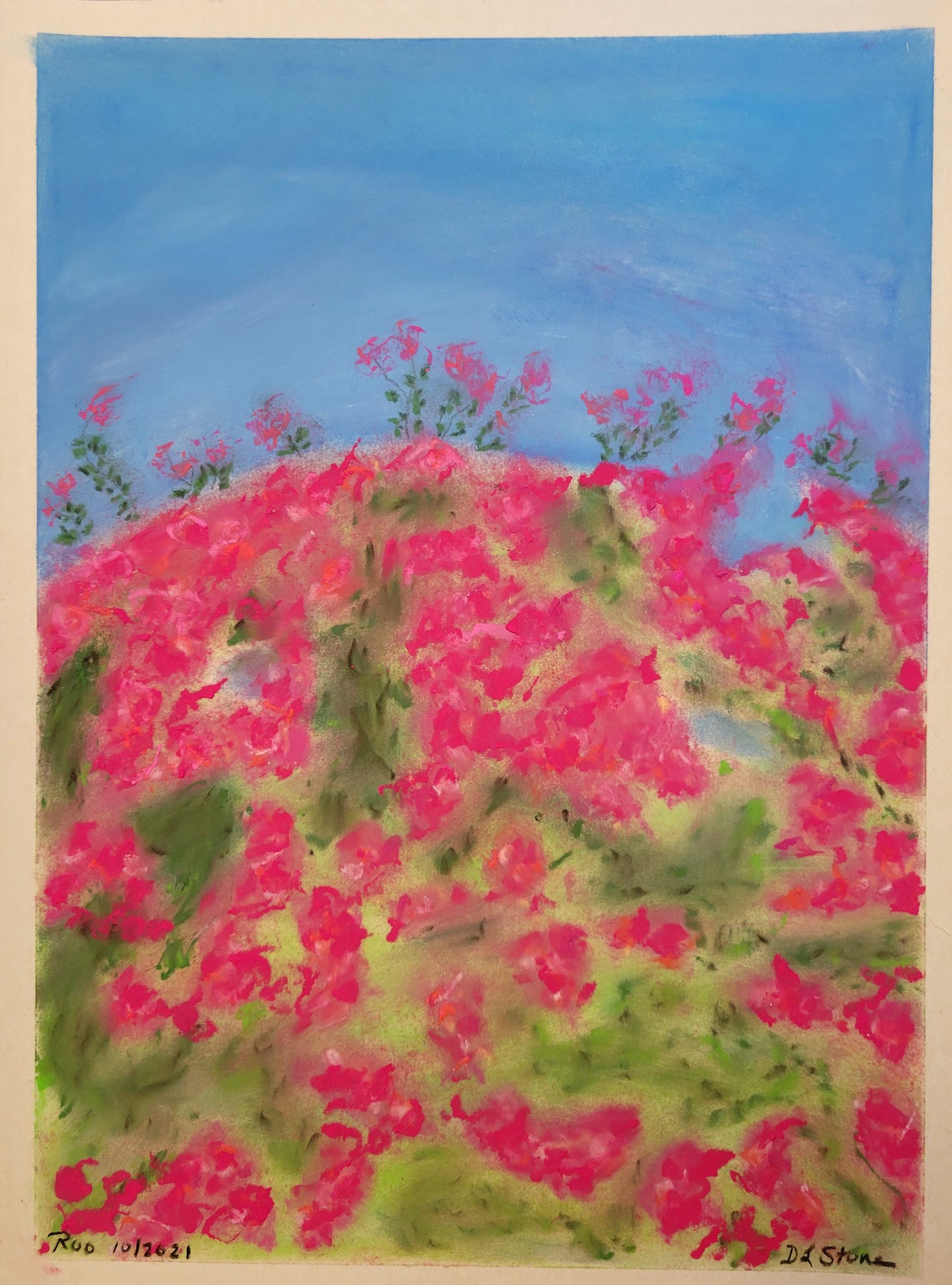 Bougainvillea